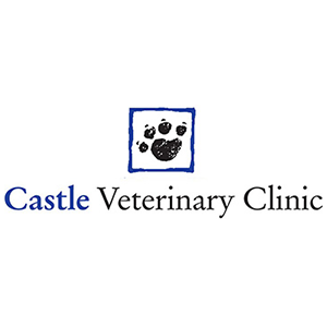 Castle Vets - Poundbury.co.uk