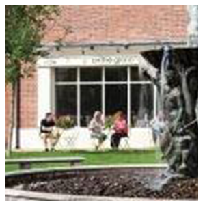 Cafe on The Green