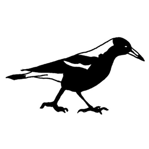Magpie