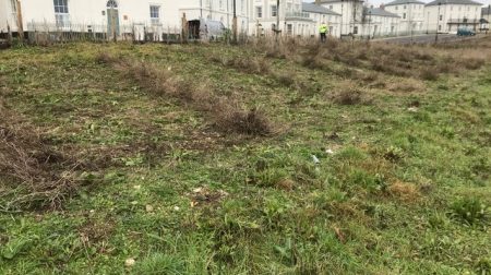 HABITAT ESTABLISHMENT CONTINUES