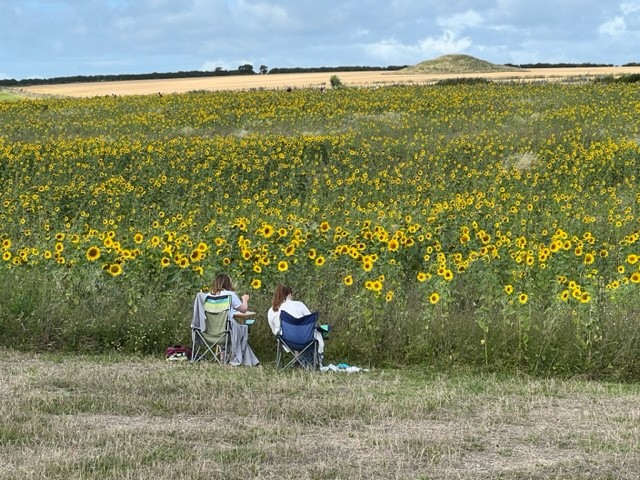 Art in the Sunflowers 2025